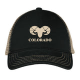 Colorado Bighorn Sheep - Unstructured Mesh Snapback - Black and Khaki